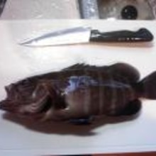 マハタ鍋風 レシピ 作り方 By チョコのr 楽天レシピ マハタ鍋風 レシピ 作り方 By チョコのr 楽天レシピ